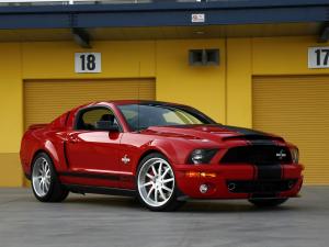 Shelby GT500 Super Snake 2008 года